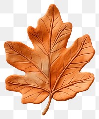 PNG Orange Leaf leaf clay handcrafted.