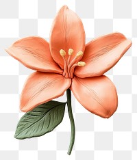 PNG Lily flower lily clay.