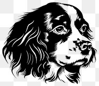 PNG Collection portrait Cavalier King Charles Spaniel dog art illustration spaniel.