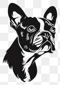 PNG Collection portrait Boston Terrier dog bulldog animal canine.