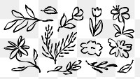 PNG Hand-drawn floral botanical elements on transparent background