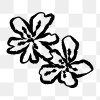 PNG Hand-drawn floral line art on transparent background