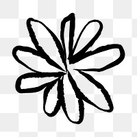 PNG Abstract floral black illustration on transparent background