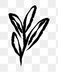 PNG Minimalist black leaf illustration on transparent background