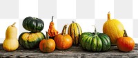 Autumn gourds png border, transparent background