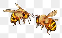 Bees png illustration sticker, transparent background