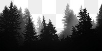 Forest png border, transparent background