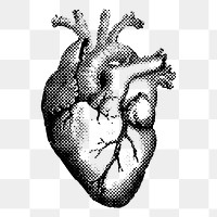 Heart png clip art, vintage | Free PNG - rawpixel