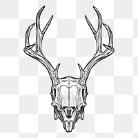 Deer skull png sticker, vintage illustration on transparent background. Free public domain CC0 image.