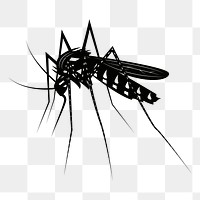 Mosquito png sticker, vintage insect illustration on transparent background. Free public domain CC0 image.