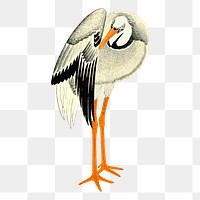 Stork bird png sticker, vintage animal illustration on transparent background. Free public domain CC0 image.