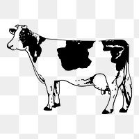 Cow, bull png sticker, farm animal vintage illustration on transparent background. Free public domain CC0 image.