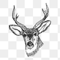 Stag png sticker, animal vintage illustration on transparent background. Free public domain CC0 image.