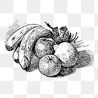 Fruits png sticker, still life vintage illustration on transparent background. Free public domain CC0 image.