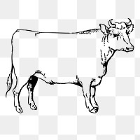Cow, bull png sticker, farm animal vintage illustration on transparent background. Free public domain CC0 image.