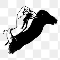 Camel png shadow puppet sticker illustration, transparent background. Free public domain CC0 image.