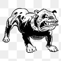 Angry bulldog png sticker, animal vintage illustration on transparent background. Free public domain CC0 image.