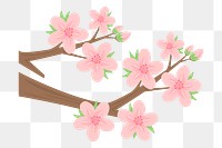 Cherry blossom png sticker, botanical illustration on transparent background. Free public domain CC0 image.