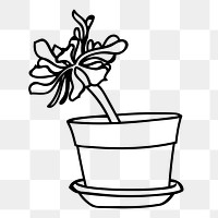 Potted flower png sticker, houseplant illustration on transparent background. Free public domain CC0 image.