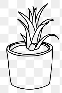 Minimal potted plant png sticker, botanical illustration on transparent background. Free public domain CC0 image.