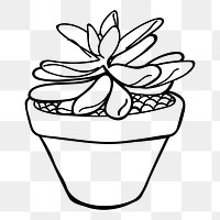 Minimal potted plant png sticker, botanical illustration on transparent background. Free public domain CC0 image.