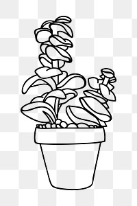 Minimal potted plant png sticker, botanical illustration on transparent background. Free public domain CC0 image.