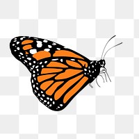 Monarch butterfly png sticker, insect illustration on transparent background. Free public domain CC0 image.