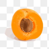 Apricot png sticker, fruit illustration on transparent background. Free public domain CC0 image.