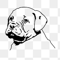 Bulldog puppy png sticker, animal illustration on transparent background. Free public domain CC0 image.