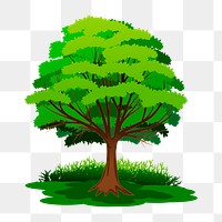 Lone tree png sticker, botanical illustration on transparent background. Free public domain CC0 image.