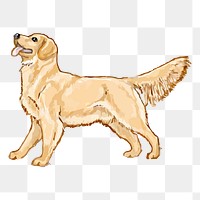 Golden Retriever png dog sticker, animal illustration on transparent background. Free public domain CC0 image.