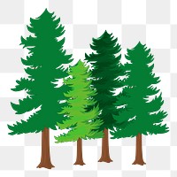 Pine trees png sticker, botanical illustration on transparent background. Free public domain CC0 image.