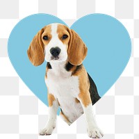 Beagle dog png badge sticker, cute pet photo in heart shape, transparent background