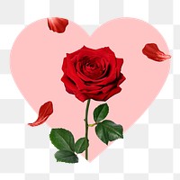 Red rose png badge sticker, Valentine's day photo in heart shape, transparent background