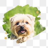 Yorkshire Terrier png, brush stroke reveal sticker, animal collage element, transparent background