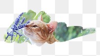 Orange cat png, brush stroke reveal sticker, animal collage element, transparent background