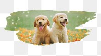 PNG golden retriever puppies, brush stroke reveal sticker, animal collage element, transparent background