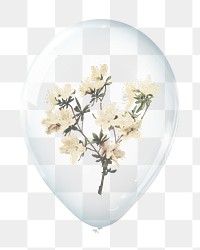 White azaleas png, flower in clear balloon, transparent background