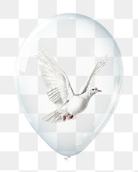 Flying dove png sticker, animal in clear balloon, transparent background