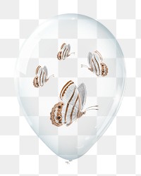 Moths png sticker, animal in clear balloon, transparent background