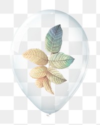 Rose leaf png, plant in clear balloon, transparent background