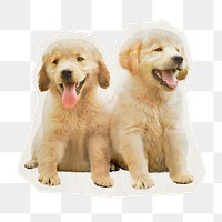 Dog png sticker,  Golden Retriever rough cut paper effect, transparent background