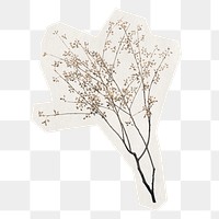 Dry flower branch png sticker, botanical rough cut paper effect, transparent background