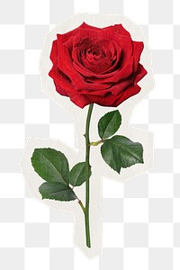 Red rose png sticker, Valentine's day rough cut paper effect, transparent background