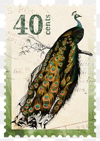 Png peacock stamp sticker, transparent background