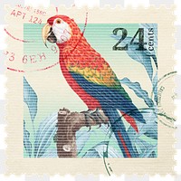 Png parrot stamp sticker, transparent background