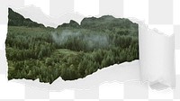 Pine forest png ripped paper sticker, nature photo reveal on transparent background