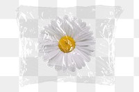 Daisy flower png plastic packaging sticker, transparent background