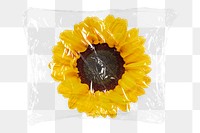 Sunflower png plastic packaging sticker, transparent background