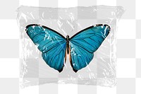 Blue butterfly png plastic packaging sticker, transparent background